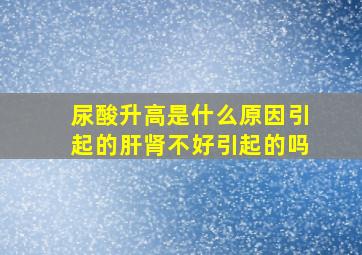 尿酸升高是什么原因引起的肝肾不好引起的吗