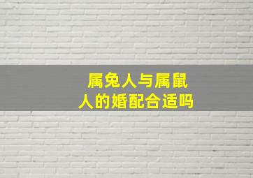 属兔人与属鼠人的婚配合适吗