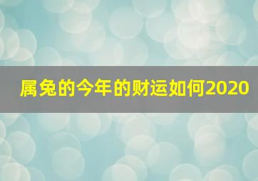 属兔的今年的财运如何2020