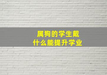 属狗的学生戴什么能提升学业