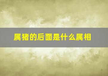 属猪的后面是什么属相