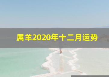 属羊2020年十二月运势