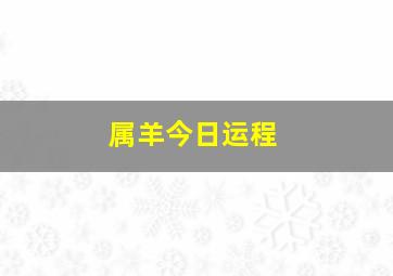 属羊今日运程