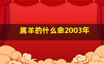 属羊的什么命2003年