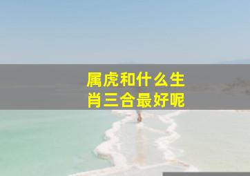 属虎和什么生肖三合最好呢