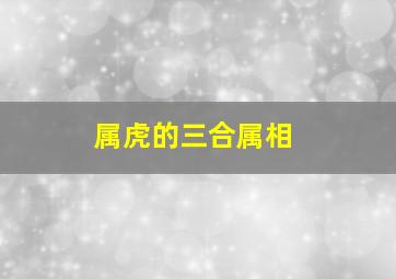 属虎的三合属相