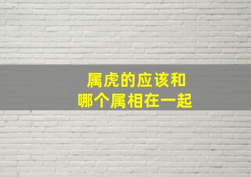 属虎的应该和哪个属相在一起