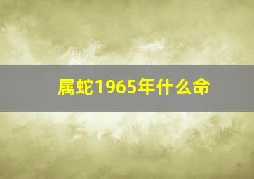 属蛇1965年什么命