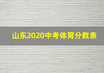 山东2020中考体育分数表