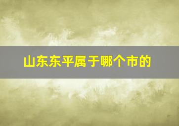 山东东平属于哪个市的