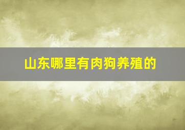 山东哪里有肉狗养殖的