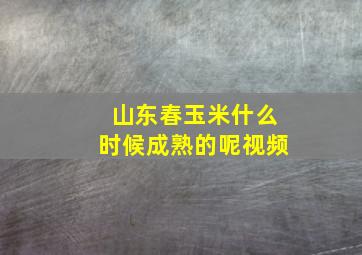 山东春玉米什么时候成熟的呢视频