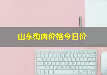 山东狗肉价格今日价