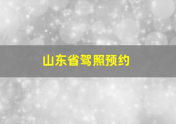 山东省驾照预约