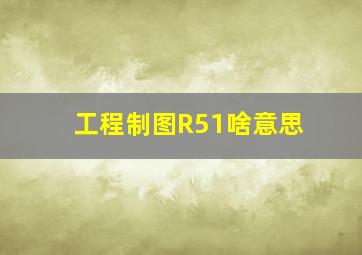 工程制图R51啥意思