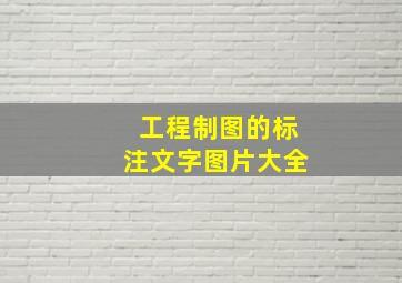 工程制图的标注文字图片大全