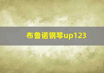 布鲁诺钢琴up123