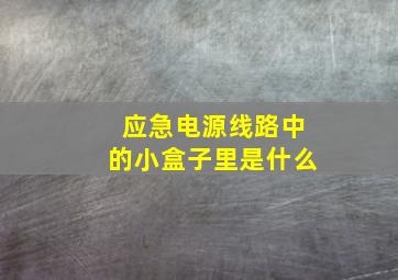 应急电源线路中的小盒子里是什么