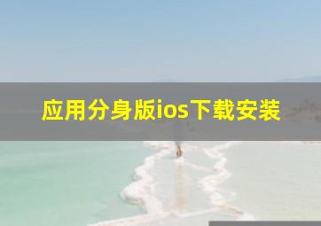 应用分身版ios下载安装