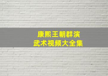 康熙王朝群演武术视频大全集