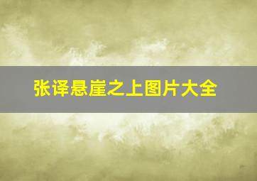 张译悬崖之上图片大全