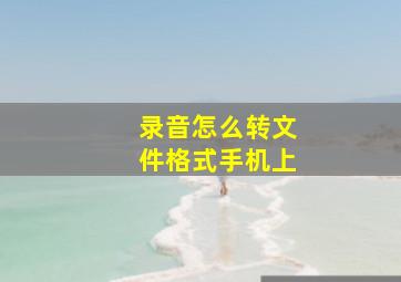 录音怎么转文件格式手机上