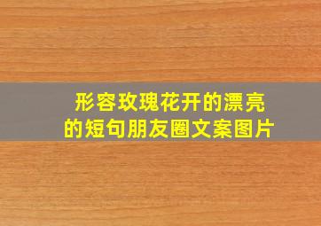 形容玫瑰花开的漂亮的短句朋友圈文案图片