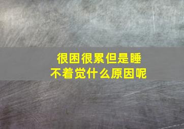 很困很累但是睡不着觉什么原因呢