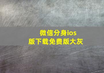 微信分身ios版下载免费版大灰