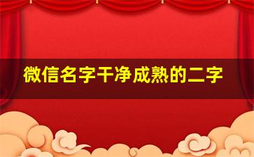 微信名字干净成熟的二字