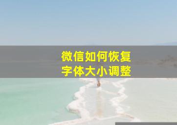 微信如何恢复字体大小调整