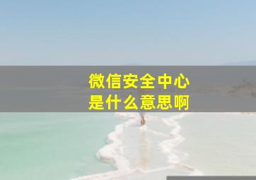 微信安全中心是什么意思啊