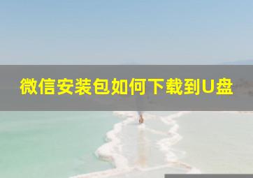 微信安装包如何下载到U盘