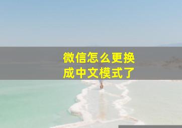 微信怎么更换成中文模式了