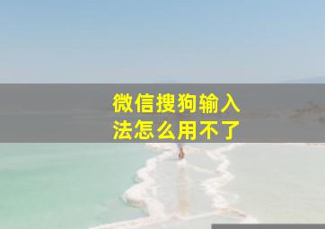 微信搜狗输入法怎么用不了