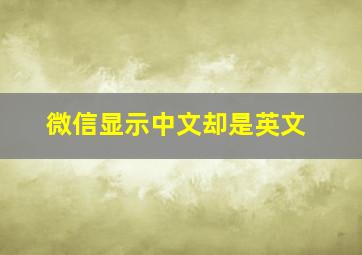 微信显示中文却是英文