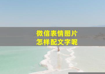 微信表情图片怎样配文字呢