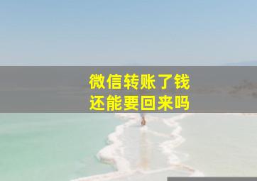 微信转账了钱还能要回来吗