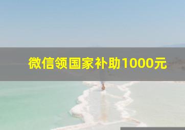 微信领国家补助1000元