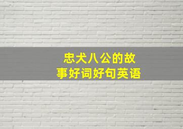 忠犬八公的故事好词好句英语