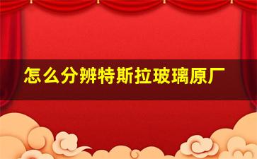 怎么分辨特斯拉玻璃原厂