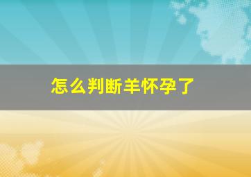 怎么判断羊怀孕了