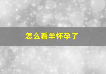 怎么看羊怀孕了