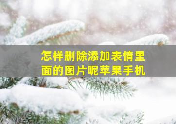 怎样删除添加表情里面的图片呢苹果手机