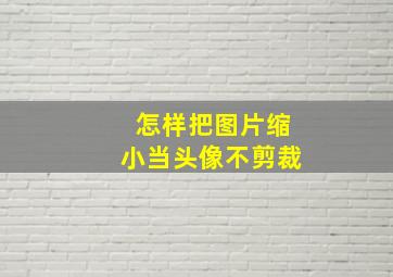 怎样把图片缩小当头像不剪裁