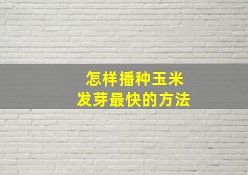 怎样播种玉米发芽最快的方法