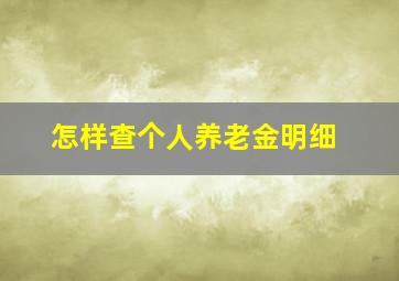 怎样查个人养老金明细