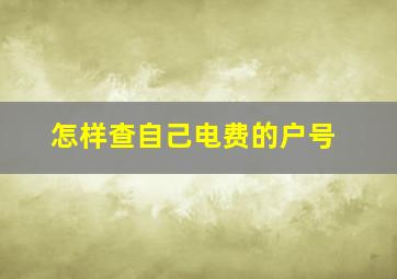 怎样查自己电费的户号