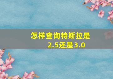 怎样查询特斯拉是2.5还是3.0