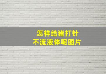 怎样给猪打针不流液体呢图片